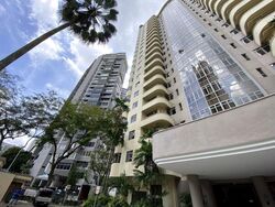 Mount Elizabeth Link (D9), Apartment #584030851